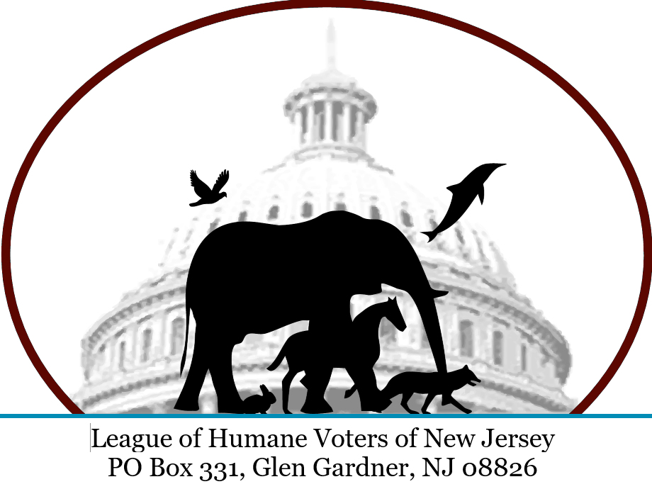 LOHV New Jersey logo