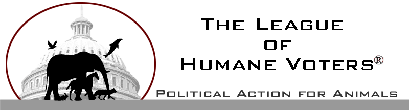 609bannerlogo